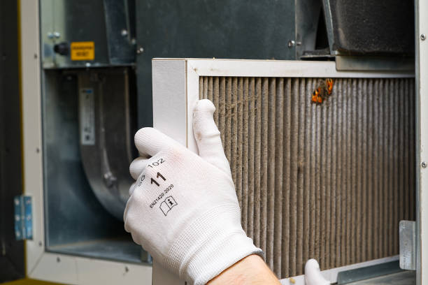 Best Local Air Duct Cleaning Services  in Shepherdsville, KY