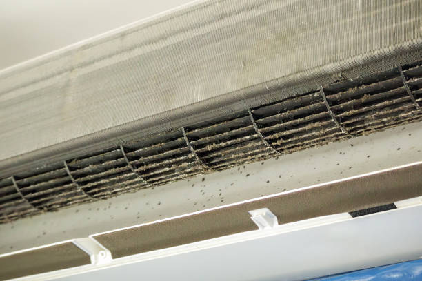 Best HVAC System Cleaning  in Shepherdsville, KY