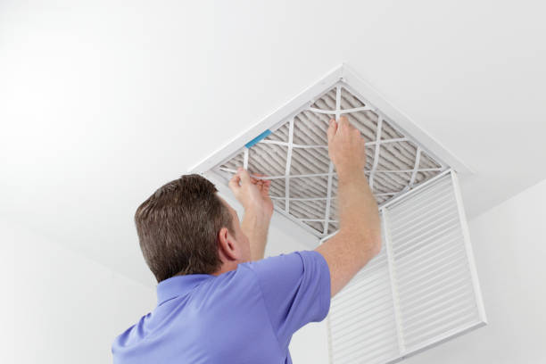 Best Air Duct Sanitizing Services  in Shepherdsville, KY